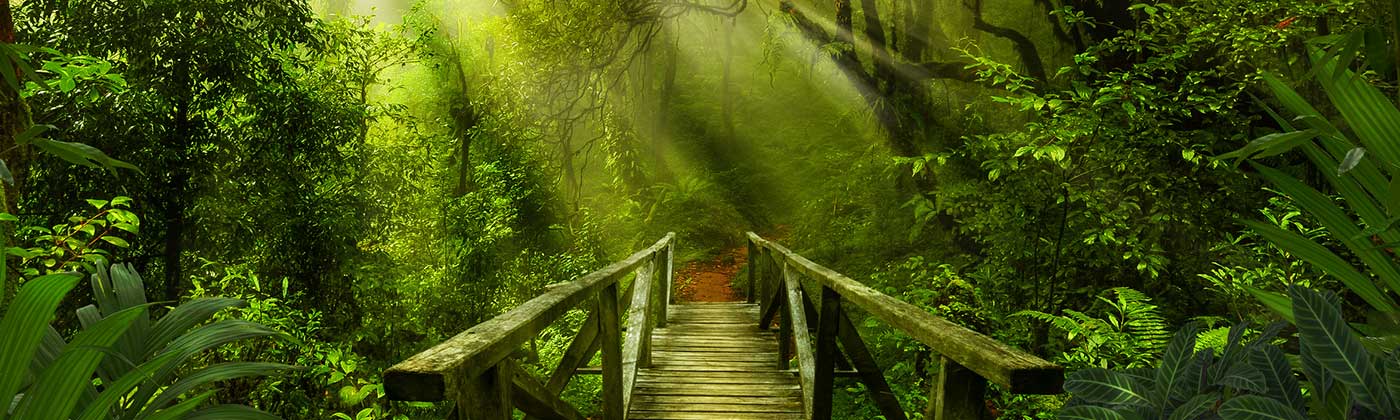 Lomi Lomi Massage Dresden